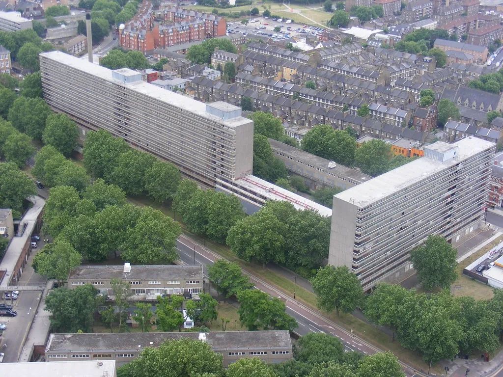 一起来植树的视频,今天适合植树吗
