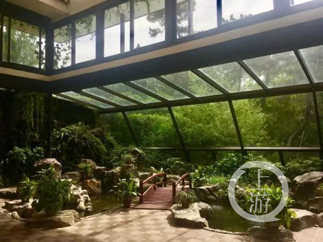 上海老租界老洋房,上海老洋房老车