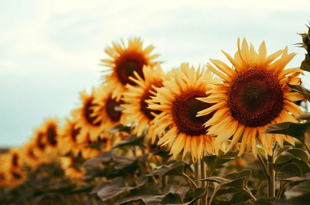 幽默段子哄女生开心套路故事,哄女孩子开心的话幽默段子