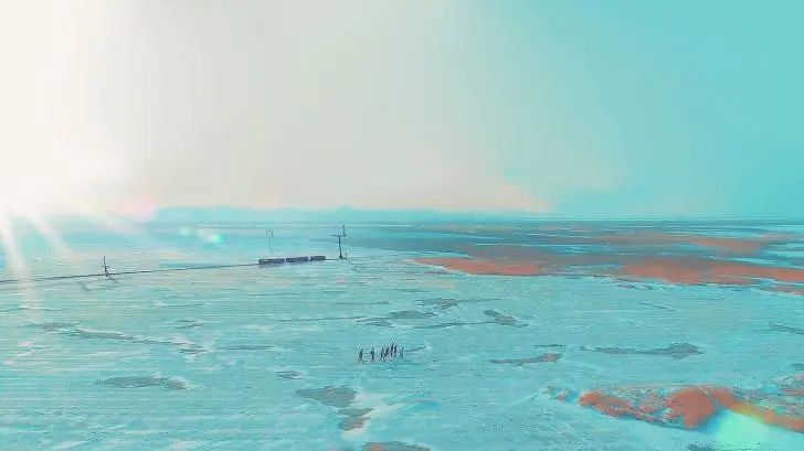 寻香|五彩斑斓的黑算什么,来见识一下五光十色的白