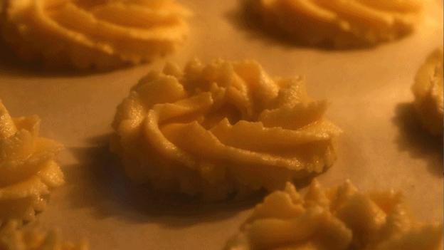 寻香|五彩斑斓的黑算什么,来见识一下五光十色的白