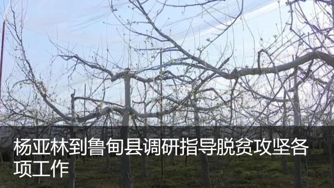 云南省昭通市客运恢复时间,云南昭通客运恢复通车时间