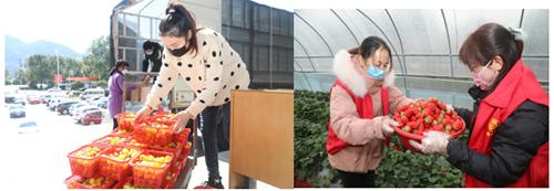 又是一年春来早家乡景色,又是一年春来早万物逢春在今朝