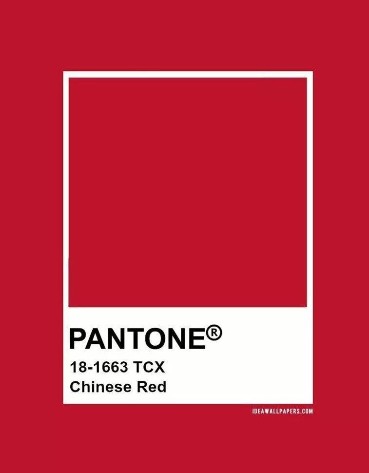 “如果没有一双CL红底鞋,就不要说自己时髦”