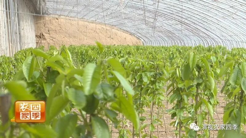 好政策促就业,好政策的落实对策