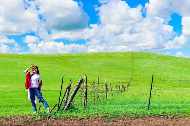 欢迎你来呼伦贝尔大草原,为你而来新疆歌曲拼音