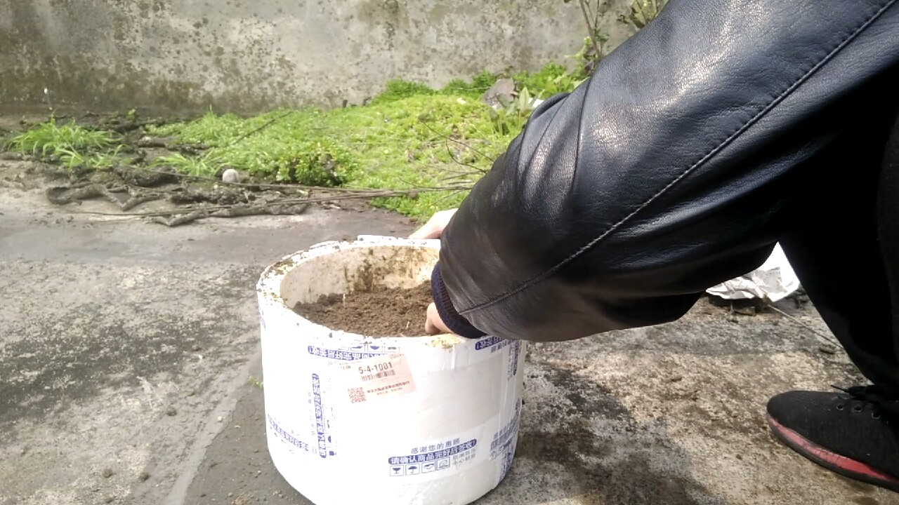 自制养蚯蚓神器,自制鱼饵神器大全