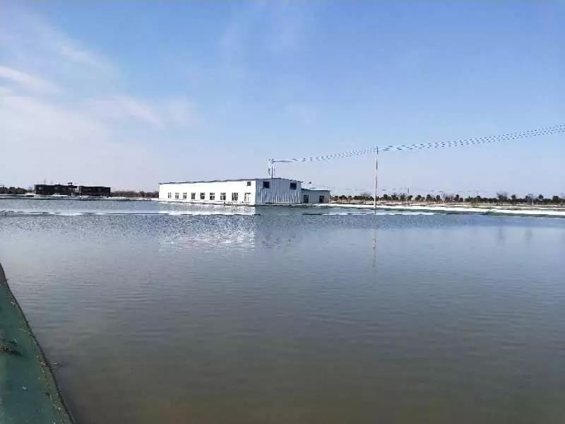 河蟹怎么养才正确家里,河蟹怎么养才能增强营养