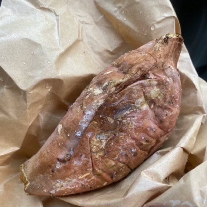 叫路边小狗名字,狗狗的名字取决于身边的人