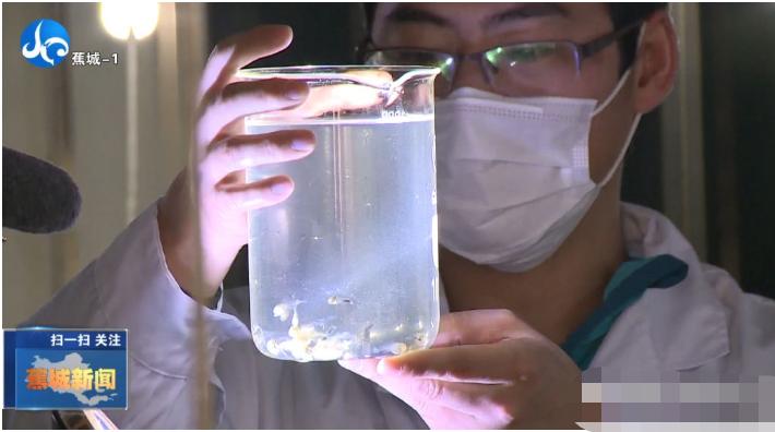 春季大黄鱼病害问题如何防治？别急，省农科院专家为您支招