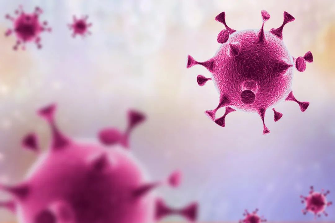 病毒溯源有重大发现,病毒溯源期