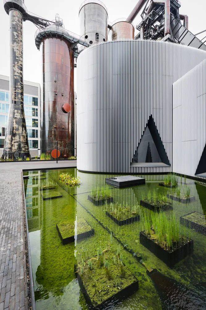 油便宜了反而费油,油便宜了却不耐烧了