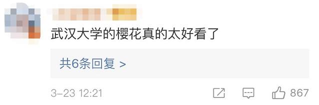 武大樱花雨现场,武大樱花周日还有票吗