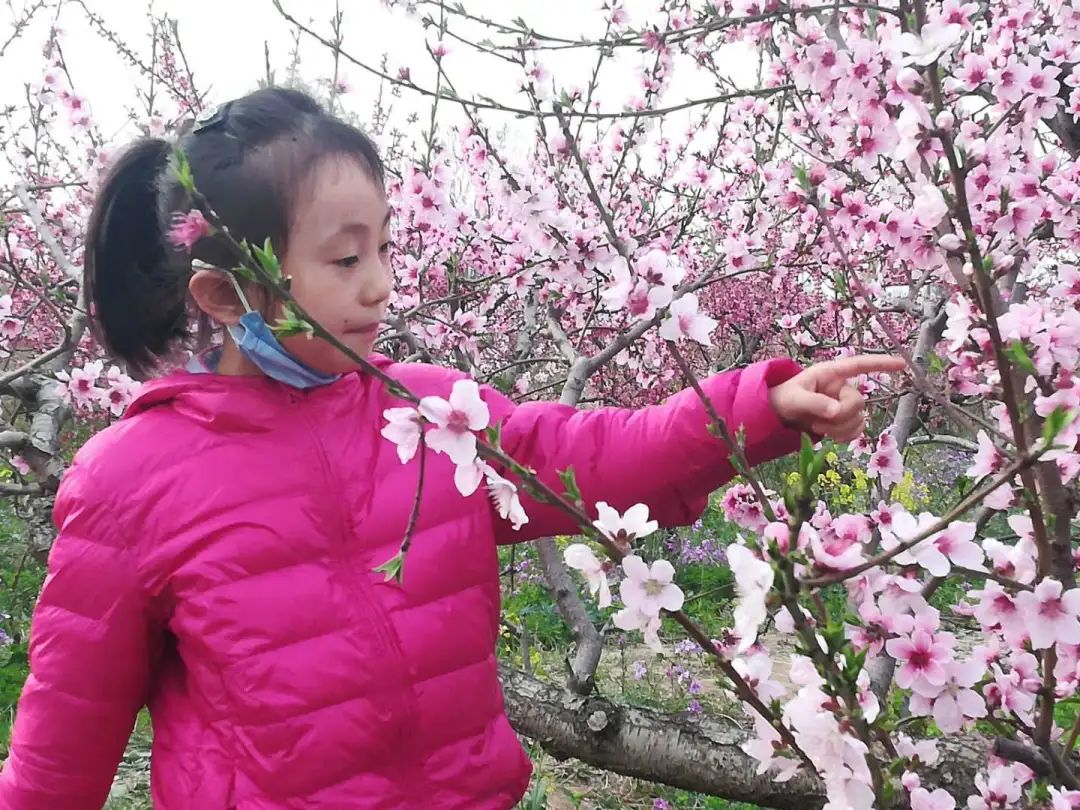 荆山塬花开正当时，复工路上，我们一直在
