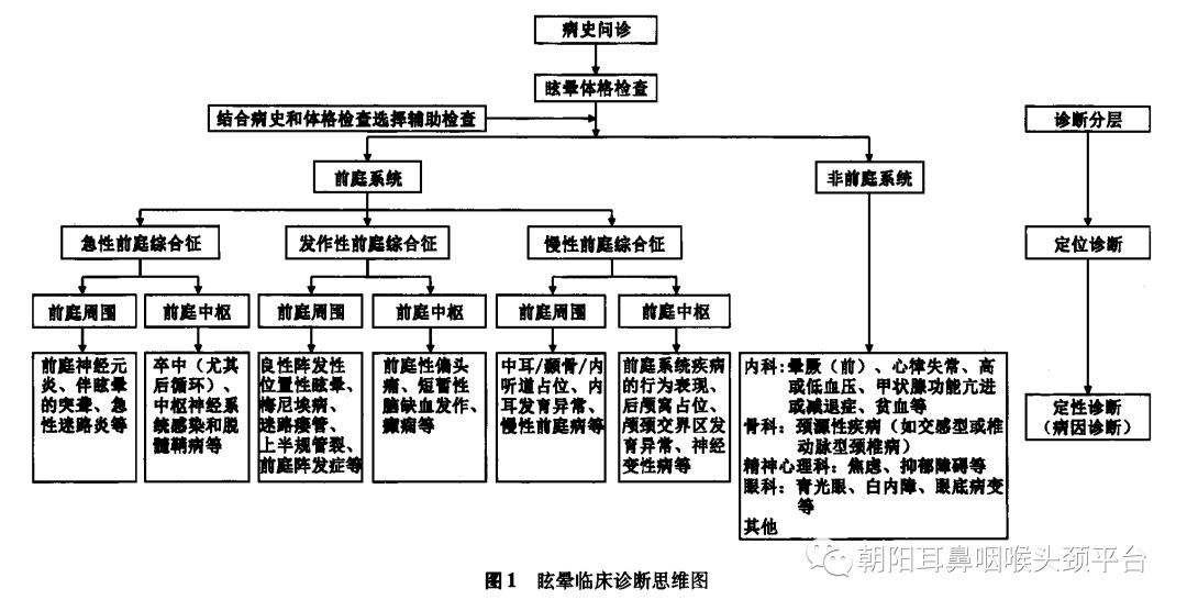 晕晕的——眩晕莫慌，我们来帮