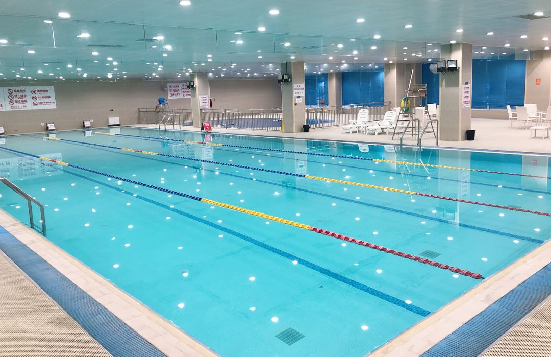 成都155个体育场馆,成都高新体育中心在什么地方