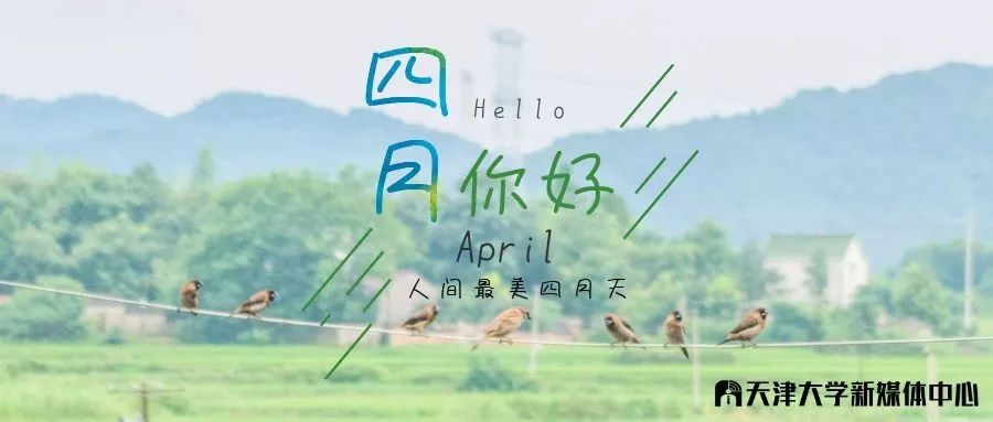 大海棠壁纸,大小海棠手机壁纸