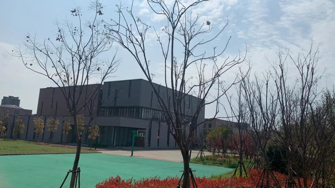 泗泾镇一线战“疫”日记（0402）——一大波文化项目剧透！继续邀你云监工