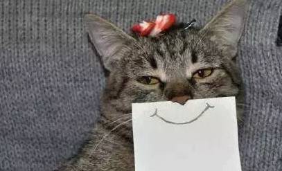 @邳州人,足不出户赢大奖+爆款秒杀+特价专享,尽在本周五