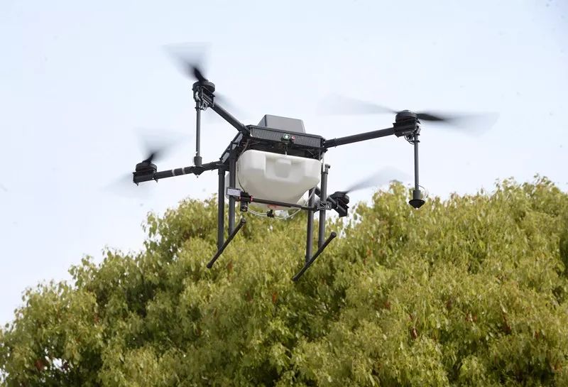 又见梧桐诗词,又见梧桐飘絮完整版