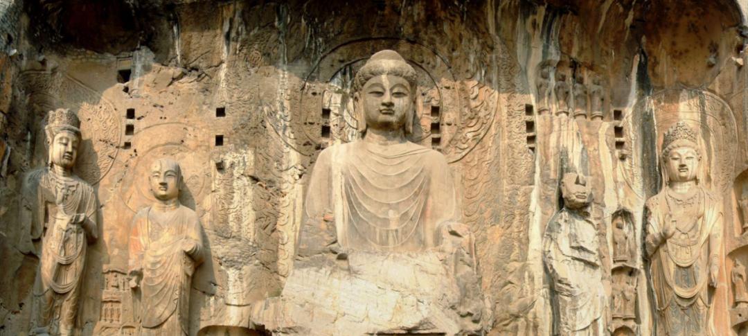 花都开好了来赏花,洛阳去哪里赏牡丹花