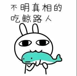 舌尖上的中国横县鱼生余师傅,舌尖上的美食之横县鱼生