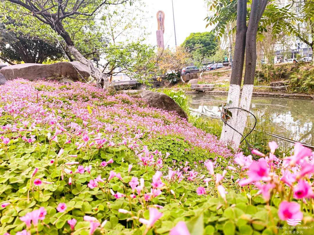 周末好去处铁像寺水街,铁像寺水街旅游攻略