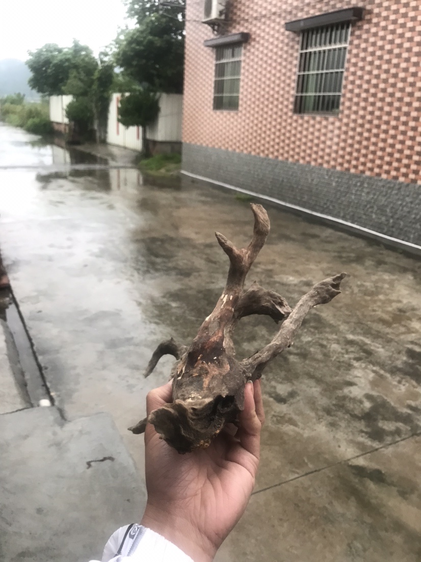 痴迷钓鱼人,钓鱼爱好者喜欢的工具