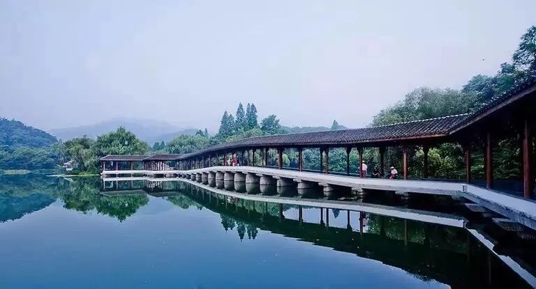 且听风吟看花开,且听风吟且看花开