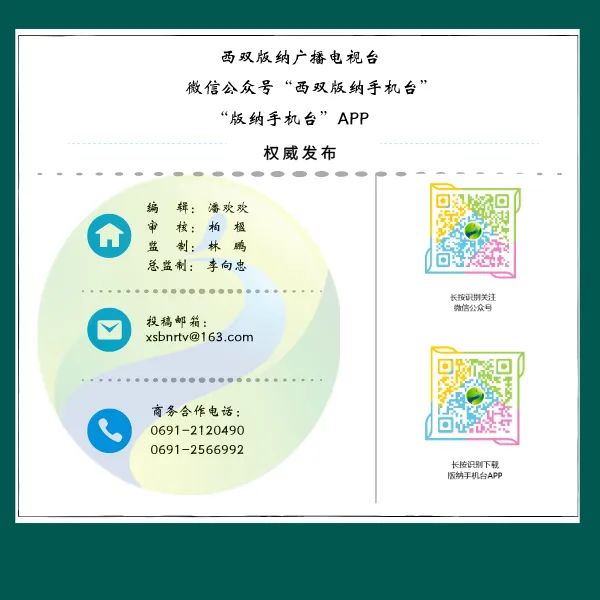 水果出口贸易现状,磨憨口岸外贸出口总额