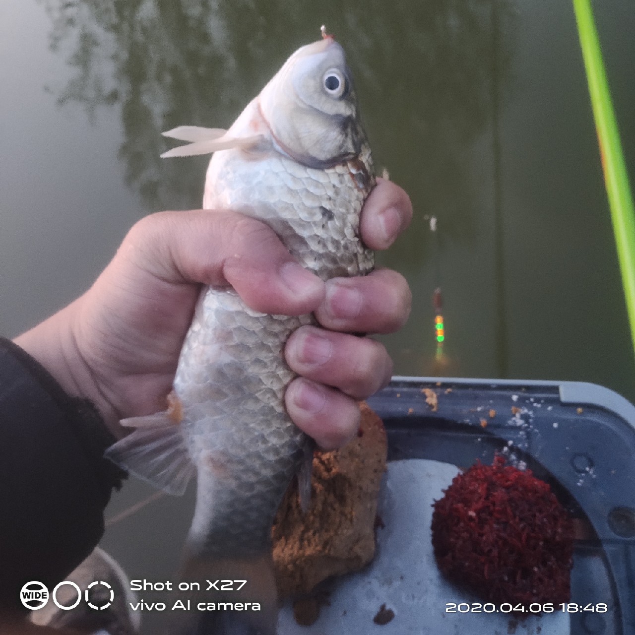 秋季野钓有鱼无口,鲫鲤兼钓技巧