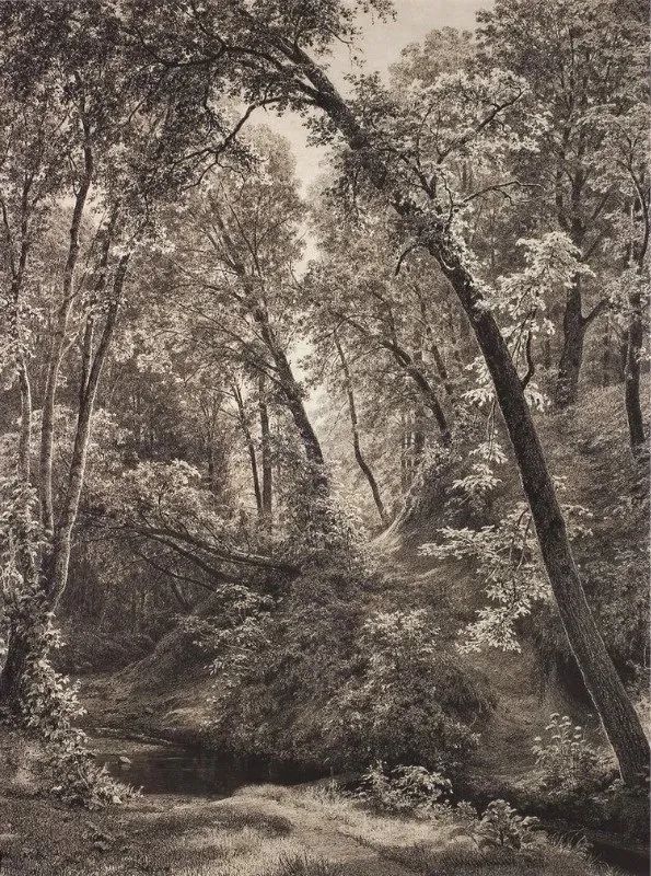 杰出人物素描画,超写实风景素描图片