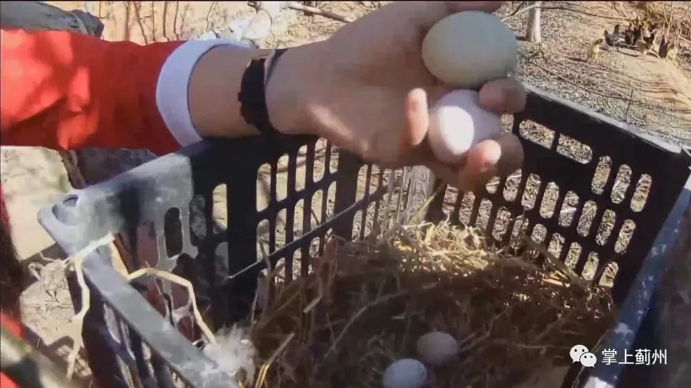 生活帮鲜果小镇,生活帮餐饮