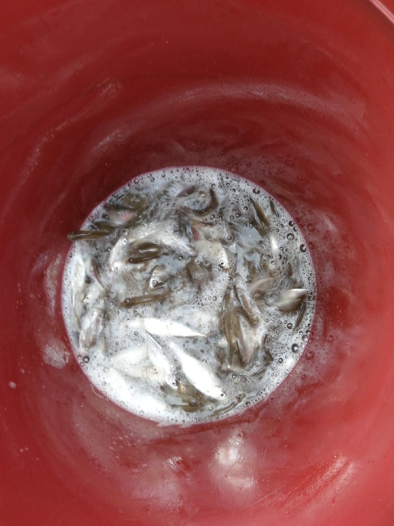 单枪匹马不如跟随大师脚步，爆桶小小过把瘾