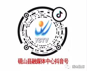 砚山国祯水厂,砚山国祯水务缴费