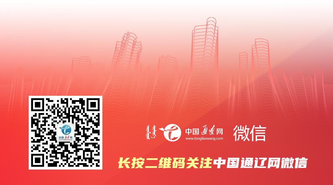 「*会两**·特刊」聚焦发展启新程春来奈曼沙变金