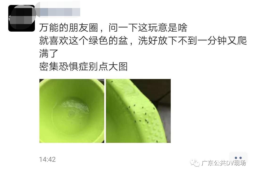 树上为什么那么多小黑虫,树上小黑虫