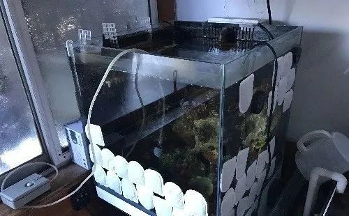 底滤海缸停电怎么办,海缸停电了怎么办