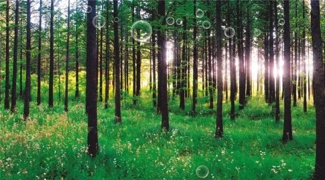 日照最美的区县,日照城市真美