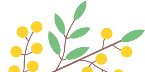 花漾秦淮|最是一年春好处，木香盛放醉秦淮