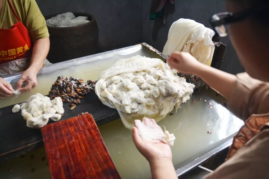 蚕丝被相关报道,桑蚕丝被曝光