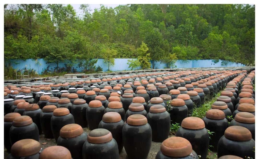 五谷是什么分别指哪些,五谷是什么