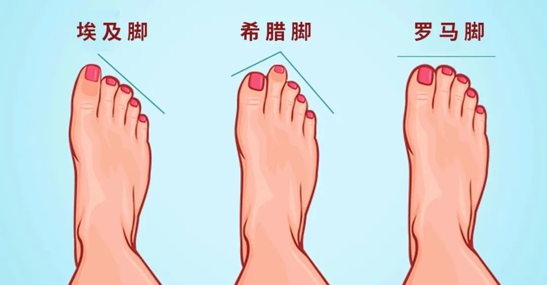 新鞋必备知识大全,多年卖鞋经验分享