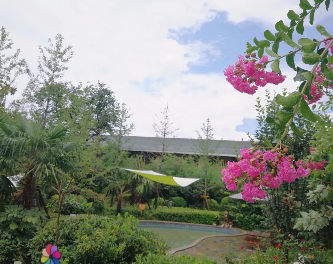 凤凰温泉99元套餐,凤凰温泉特惠票