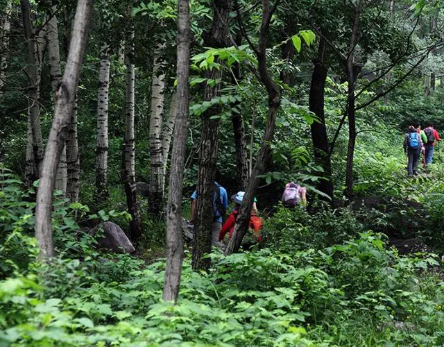 被疯抢的隐形蚊帐，随手一挂，蚊子全无