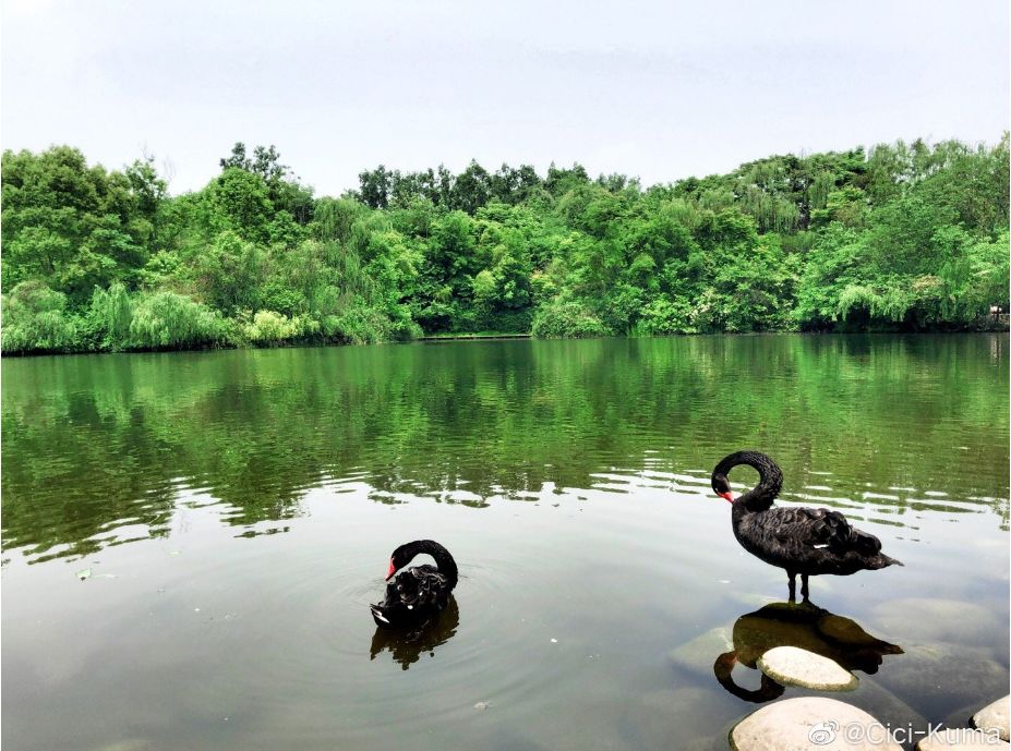 成都周边一日游免费景点推荐,成都温江十大景点免费