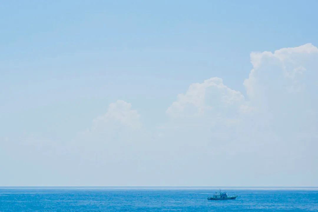 暂停自由行,暂停个人自由行