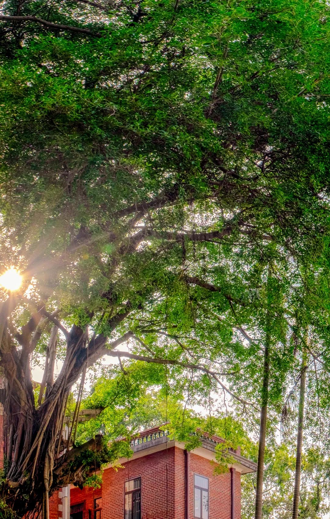 鼓浪屿值得住一晚吗,厦门鼓浪屿哪里值得玩