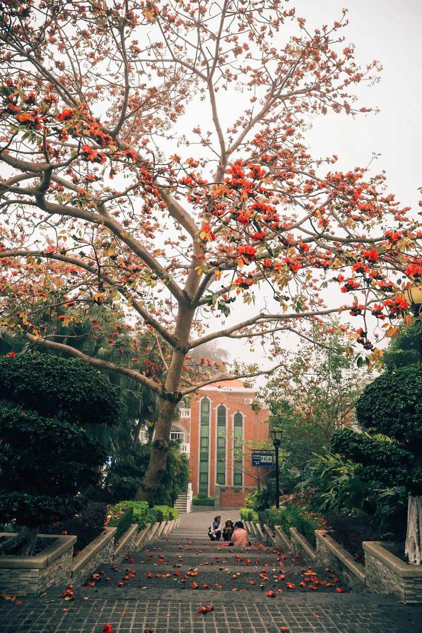 去厦门值得住鼓浪屿吗,鼓浪屿日光岩值得上去吗