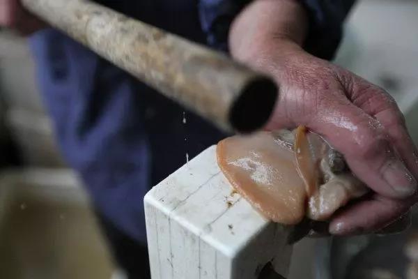 冷冻的河蚌红烧河蚌最正宗做法,四月蚌的正宗做法